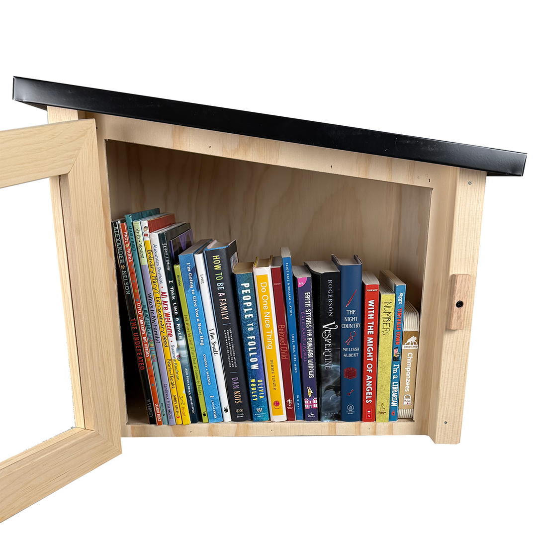 Modern Unfinished Little Free Library