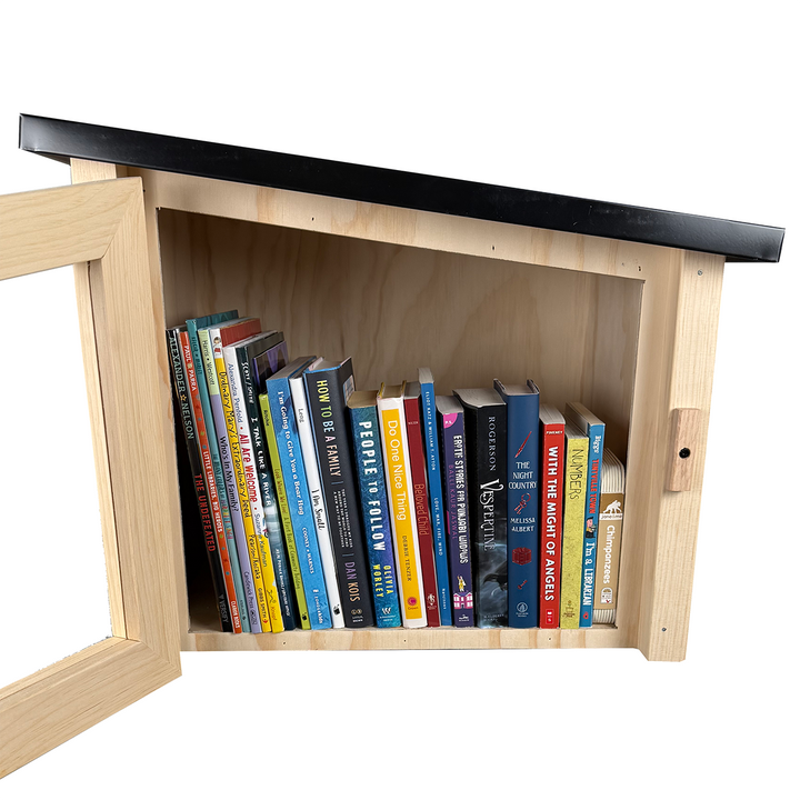 Modern Unfinished Little Free Library
