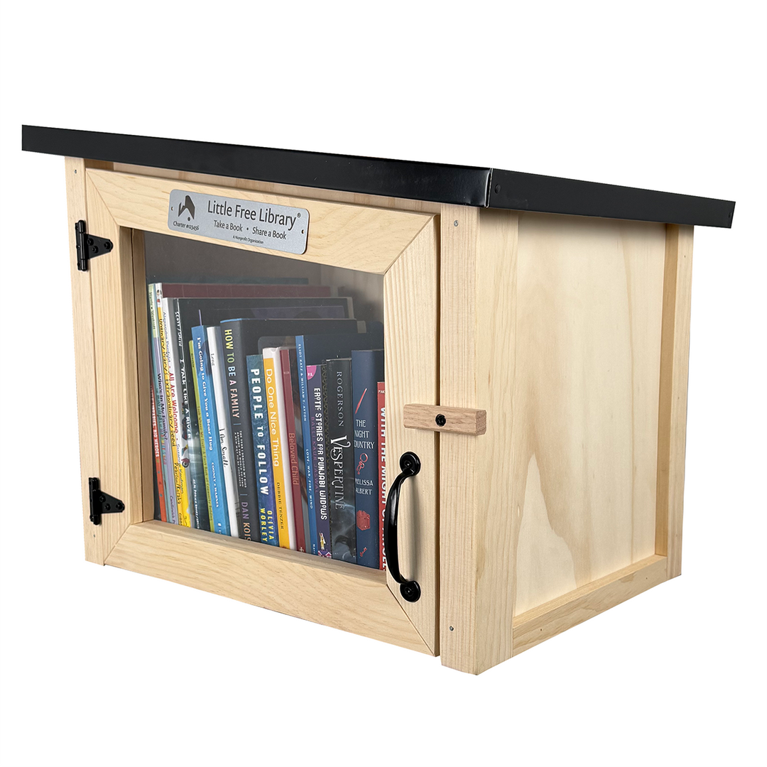 Modern Unfinished Little Free Library