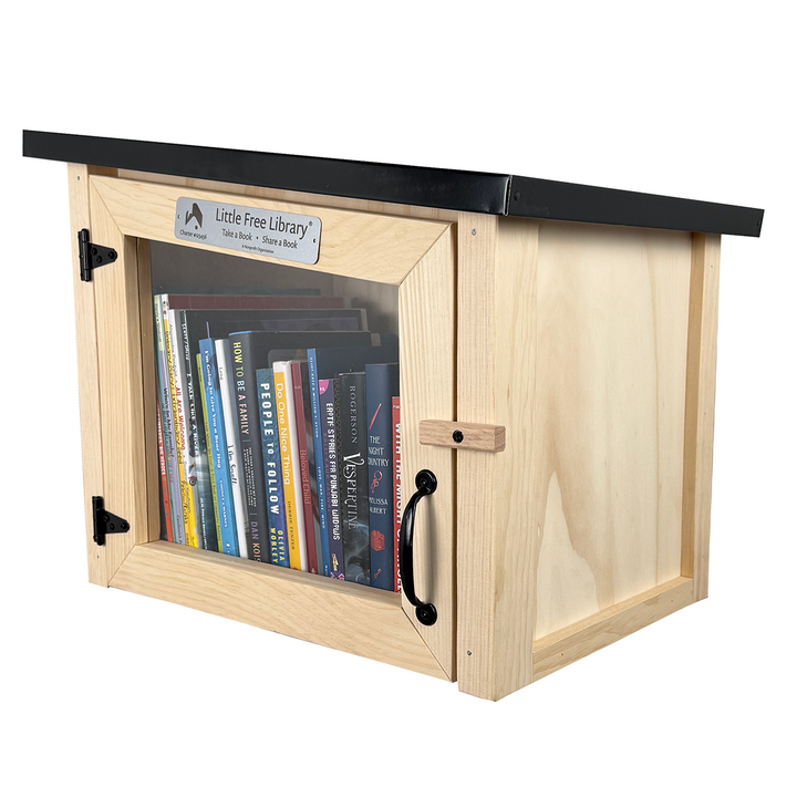 Modern Unfinished Little Free Library