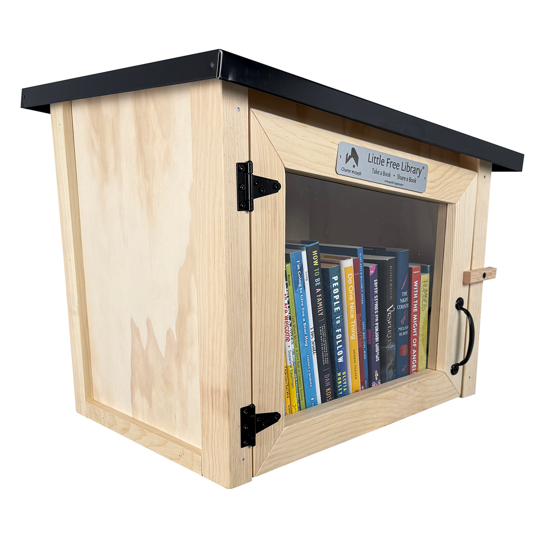 Modern Unfinished Little Free Library
