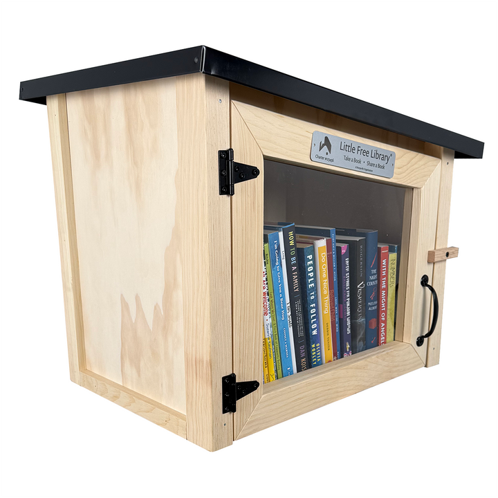 Modern Unfinished Little Free Library
