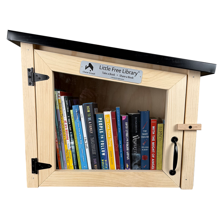 Modern Unfinished Little Free Library