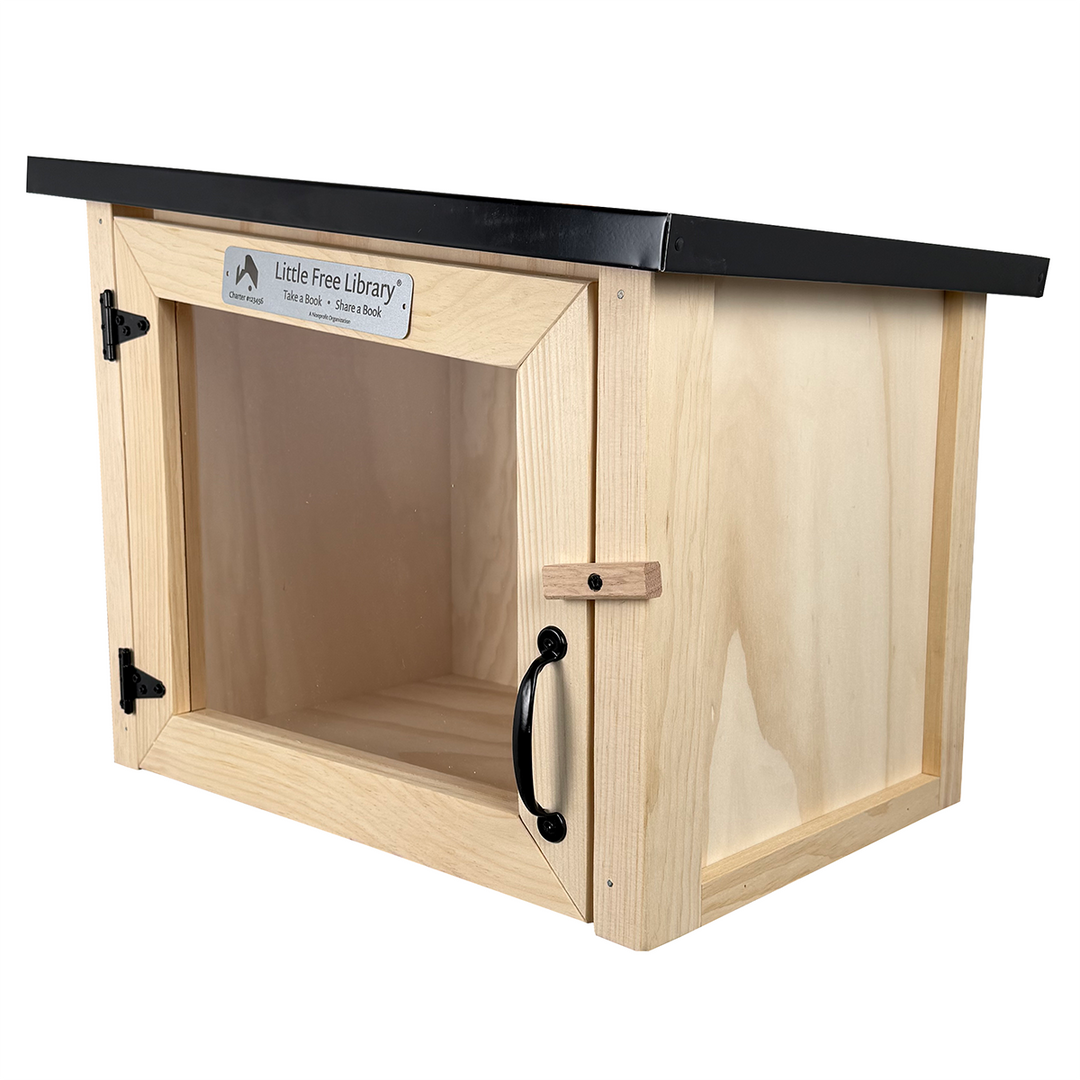 Modern Unfinished Little Free Library