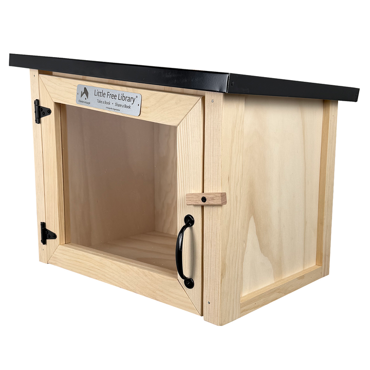 Modern Unfinished Little Free Library