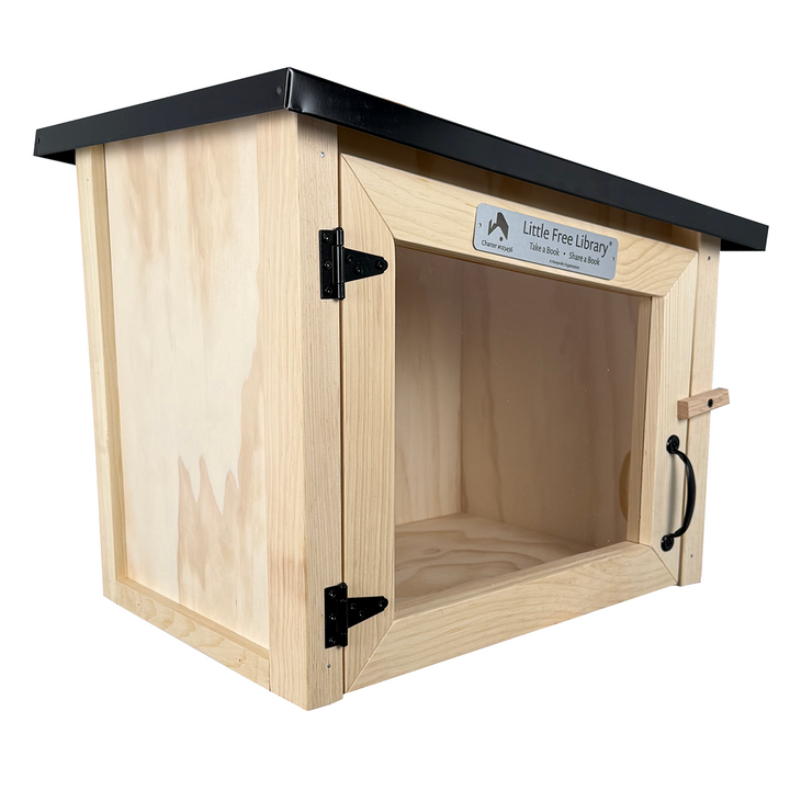Modern Unfinished Little Free Library