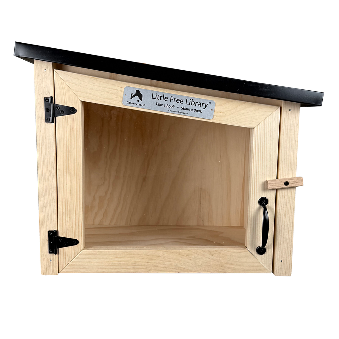 Modern Unfinished Little Free Library