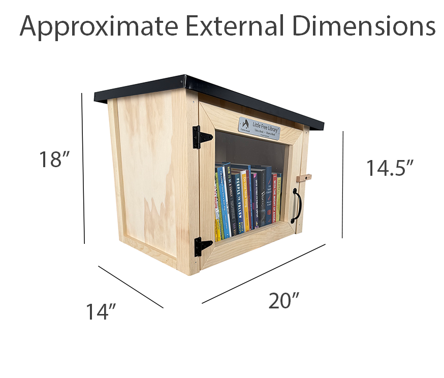 Modern Unfinished Little Free Library