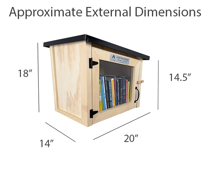 Modern Unfinished Little Free Library
