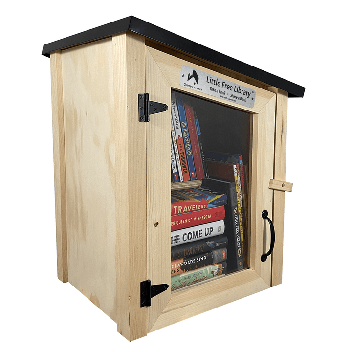 Two Story Modern Unfinished Little Free Library