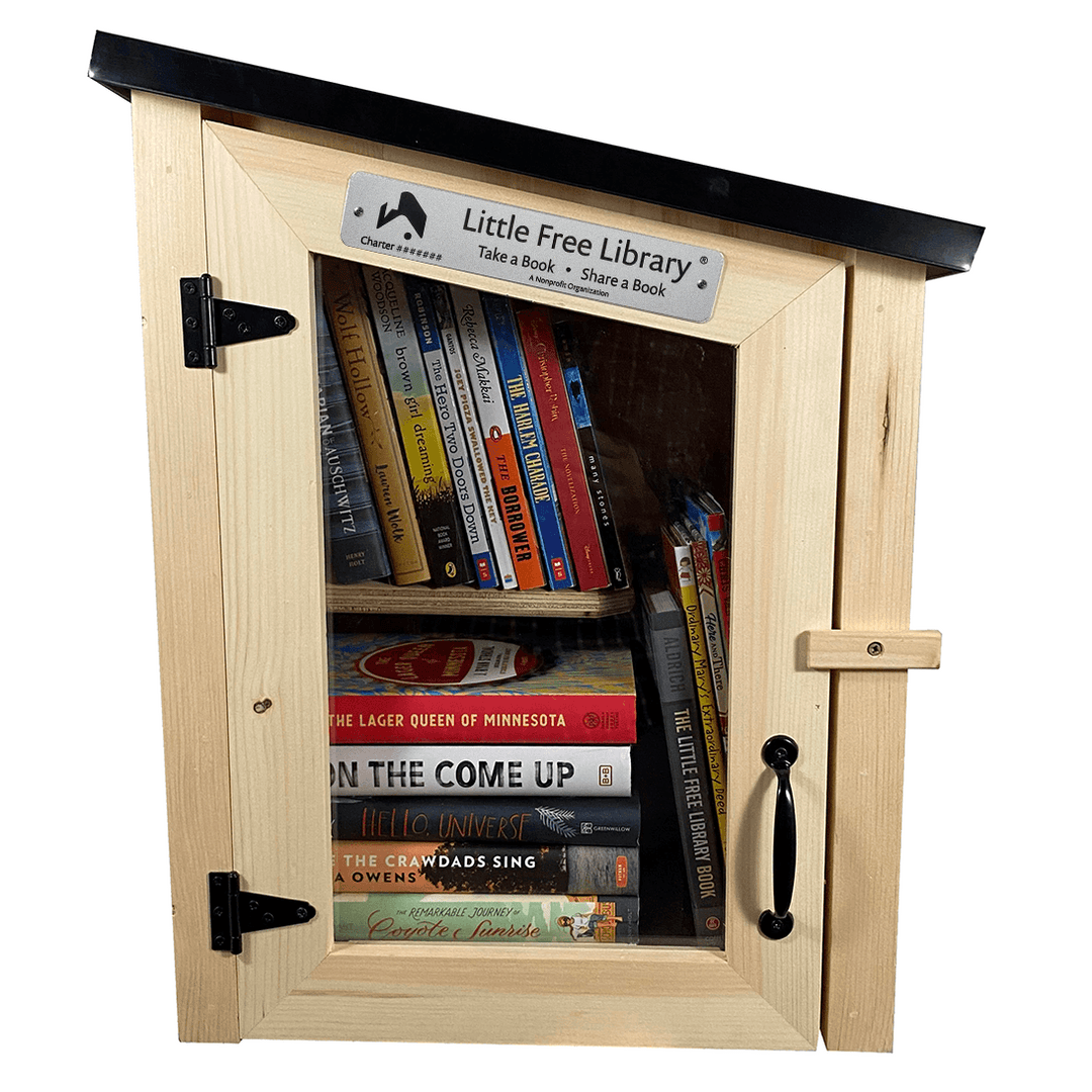 Two Story Modern Unfinished Little Free Library