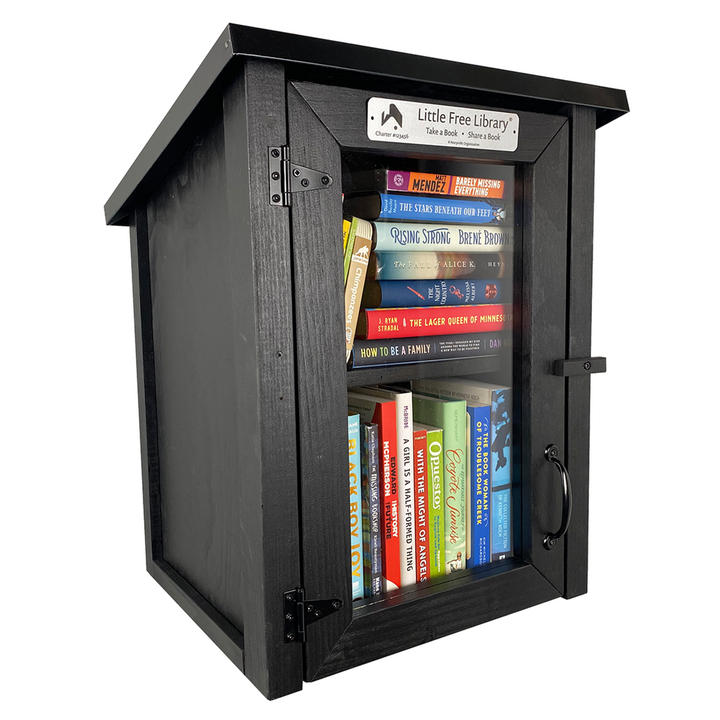 Two Story Shed Black Little Free Library