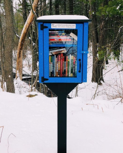 Composite Two Story Blue Little Free Library