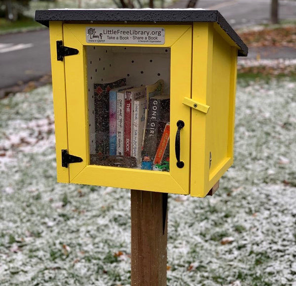 Cottage Unfinished Little Free Library
