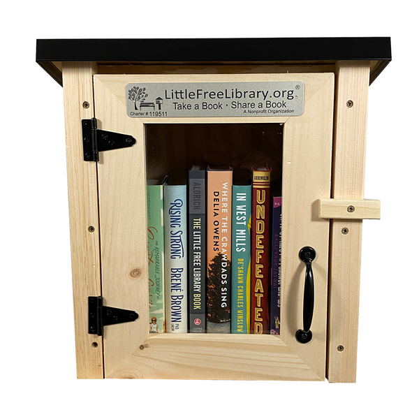 Mini Shed Kit Little Free Library